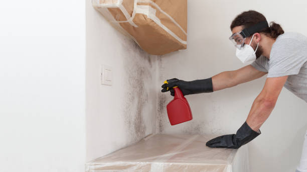 Professional Mold Remediation technician working in Rawlings, VA