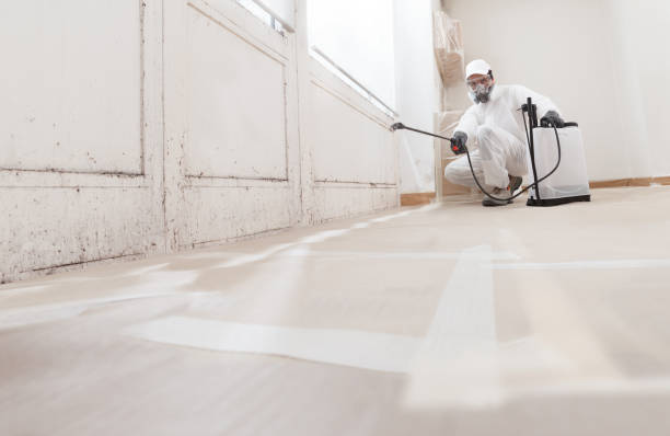 24/7 Emergency Mold Remediation experts in Rawlings, VA